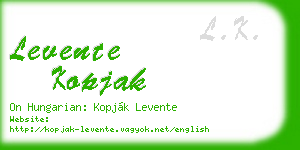 levente kopjak business card